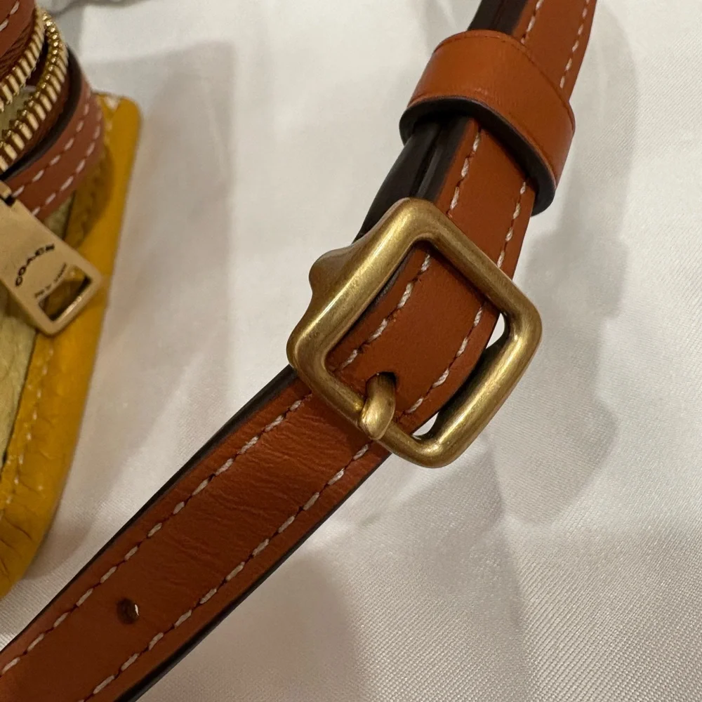 Coach 1941 Rogue 12 in Buttercup - Picture 7 of 11